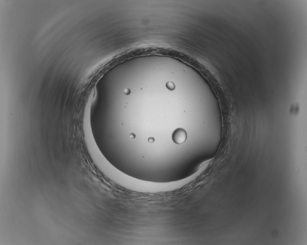 X0000112360872200909101254