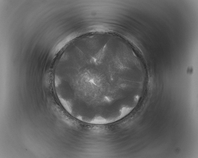 X0000112360874200909101254