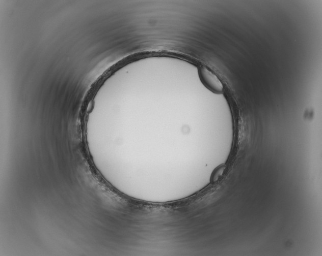 X0000112360876200909101254