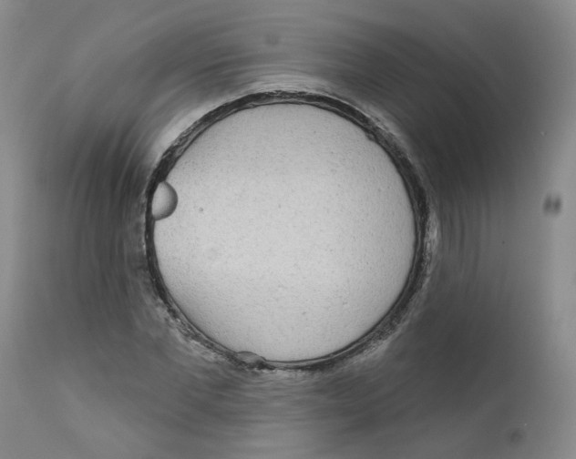 X0000112360877200909101254