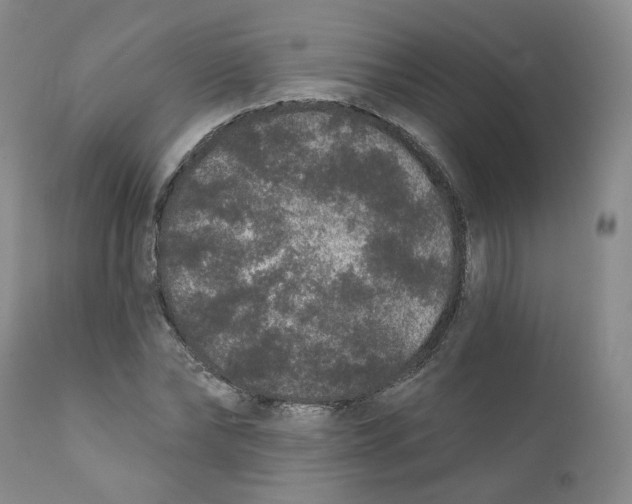 X0000112360878200909101254