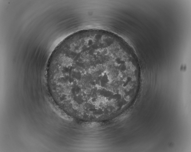 X0000112360879200909101254