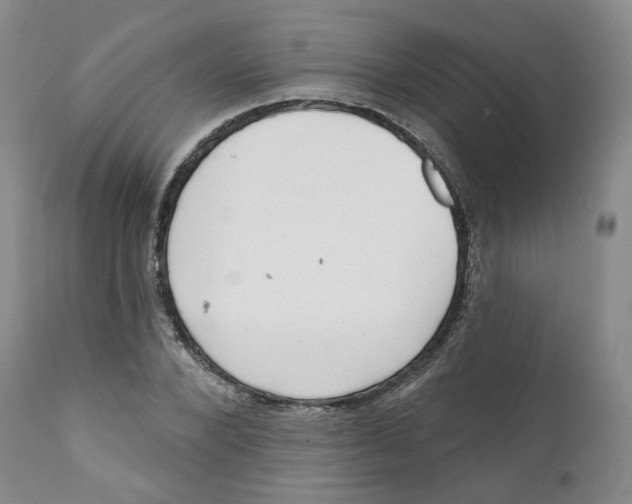 X0000112360880200909101254