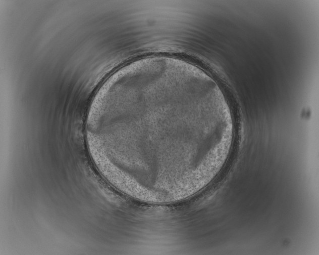 X0000112360881200909101254
