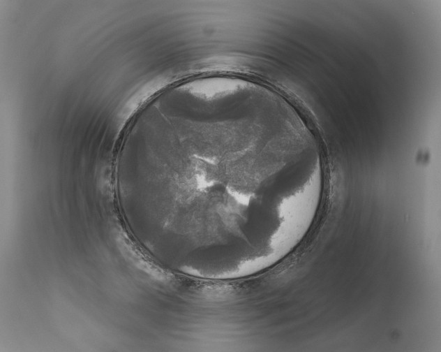X0000112360882200909101254