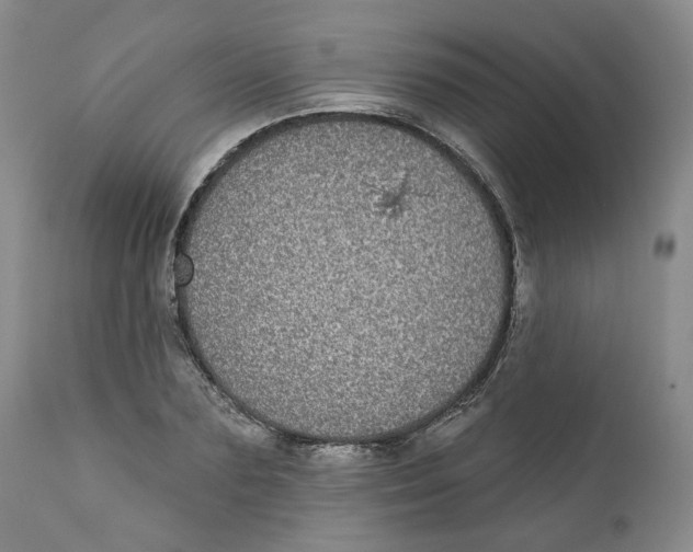 X0000112360883200909101254