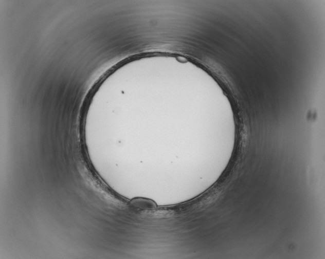X0000112360884200909101254