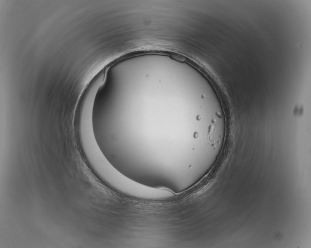 X0000112360885200909101254