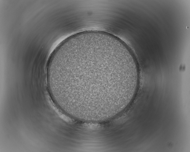 X0000112360886200909101254