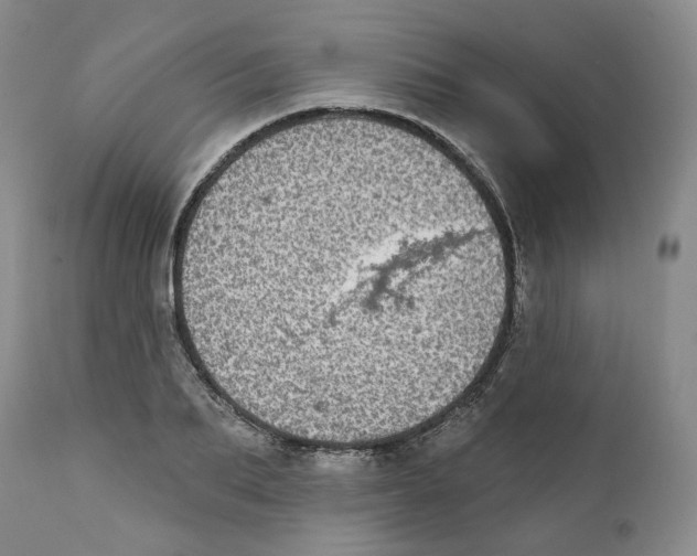 X0000112360887200909101254