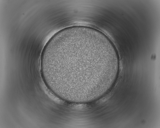 X0000112360891200909101254