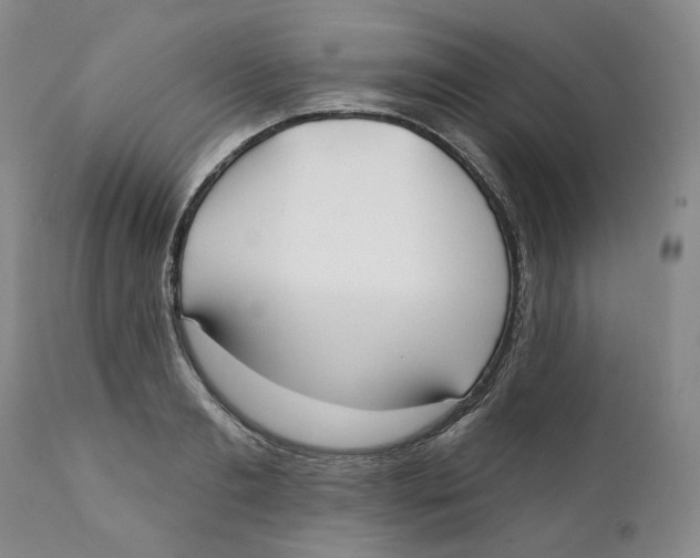 X0000112360893200909101254