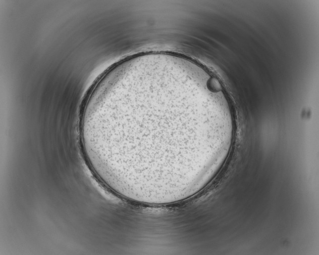 X0000112360894200909101254