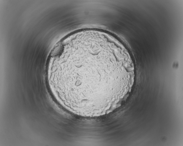 X0000112360895200909101254
