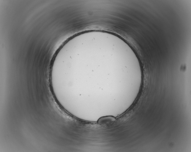 X0000112360896200909101254