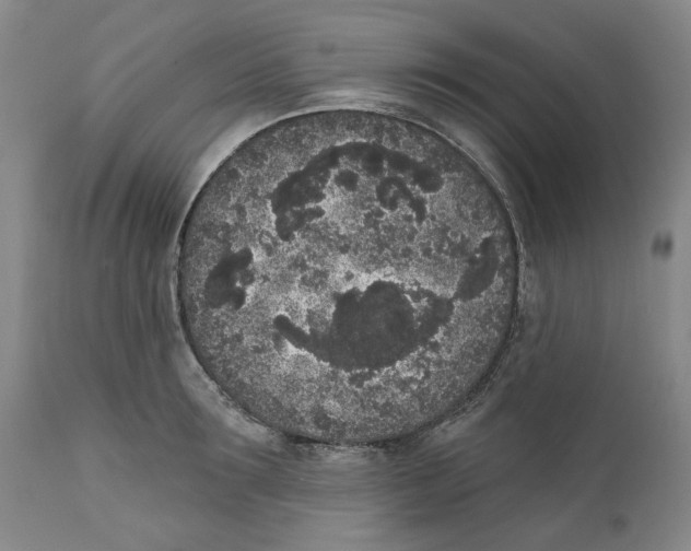 X0000112360899200909101253