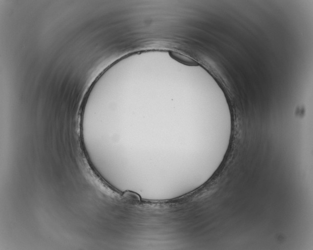 X0000112360900200909101253