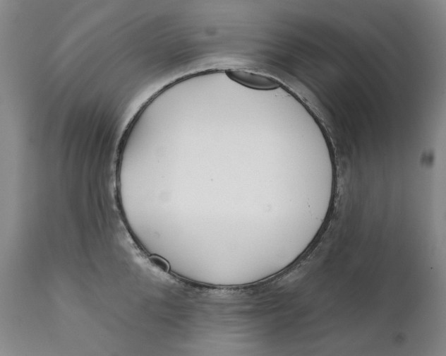 X0000112360904200909101253