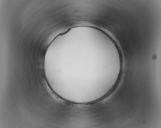 X0000112360905200909101253