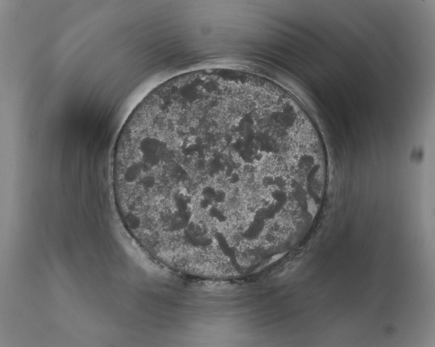 X0000112360907200909101253
