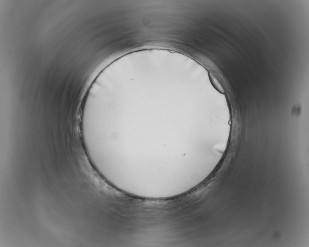 X0000112360908200909101253