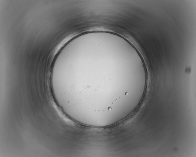 X0000112360909200909101253