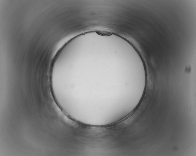 X0000112360910200909101253