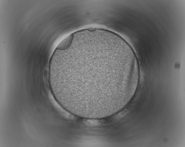 X0000112360911200909101253