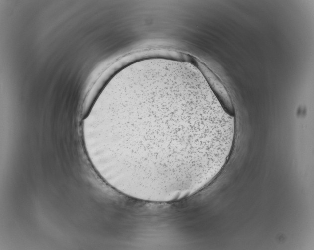 X0000112360912200909101253