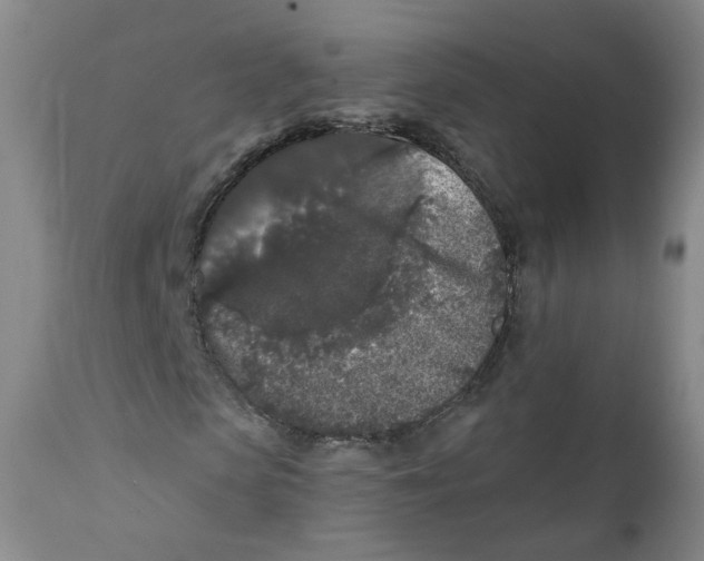 X0000112360913200909101252