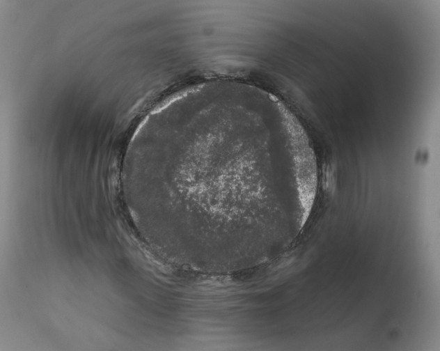 X0000112360915200909101252