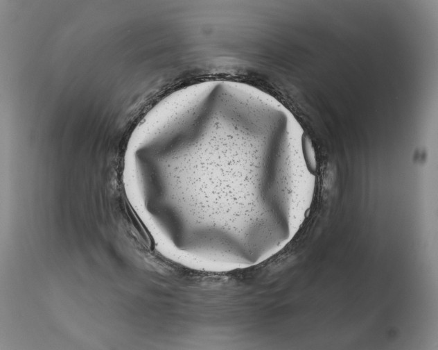 X0000112360916200909101252