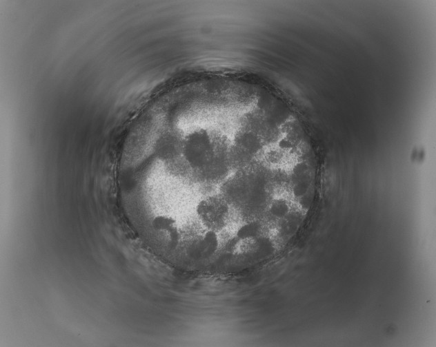 X0000112360917200909101252