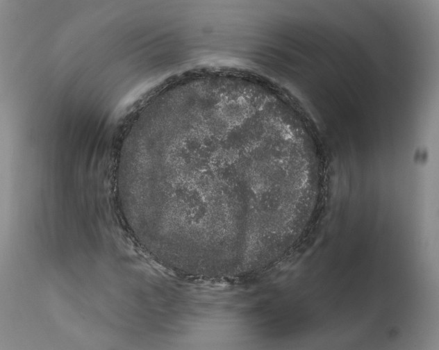 X0000112360919200909101252