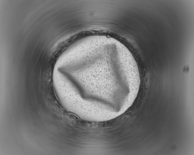 X0000112360920200909101252