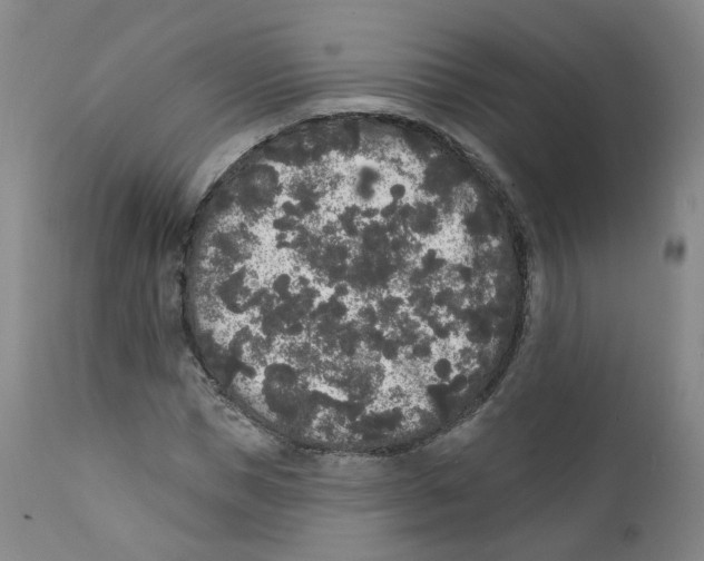 X0000112360921200909101252