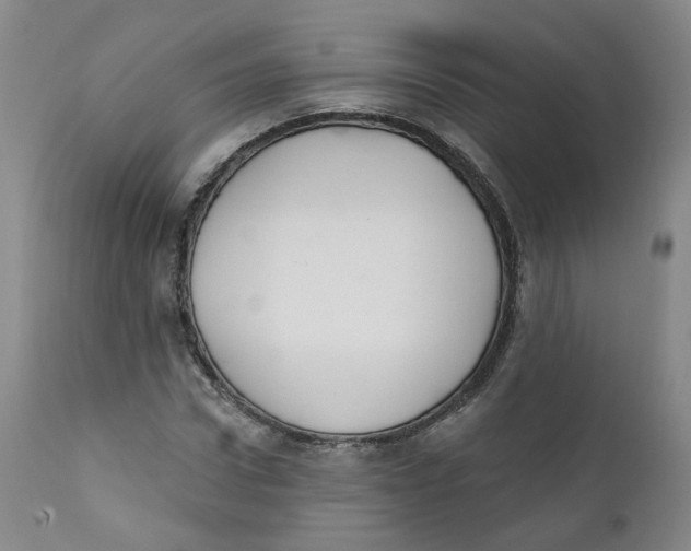 X0000112360922200909101252
