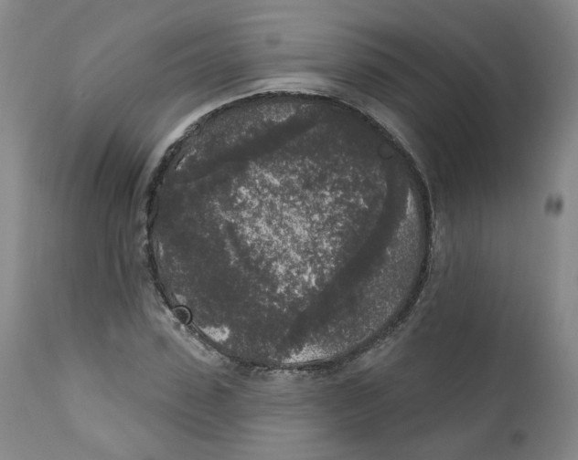 X0000112360923200909101252