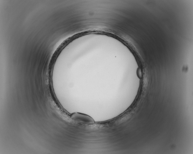 X0000112360924200909101253