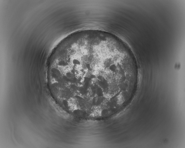 X0000112360925200909101253