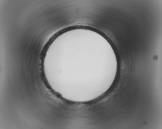 X0000112360926200909101253