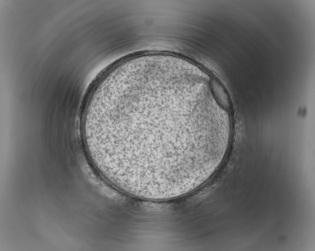 X0000112360928200909101253
