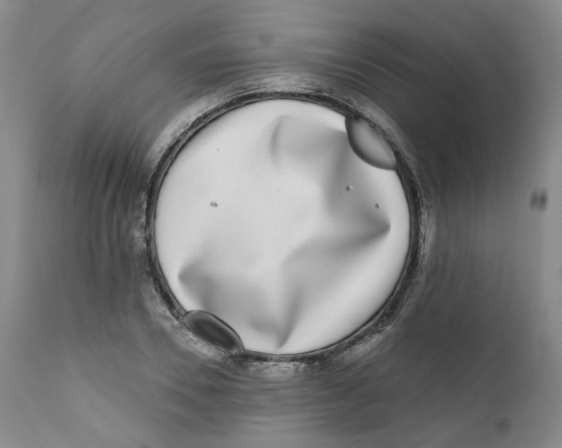 X0000112360930200909101253