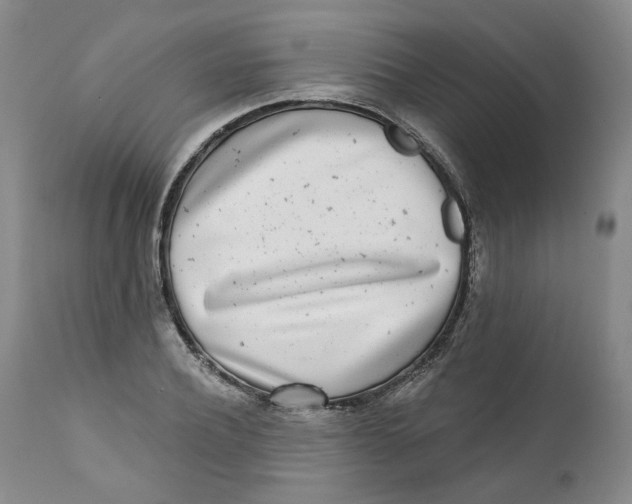 X0000112360932200909101253
