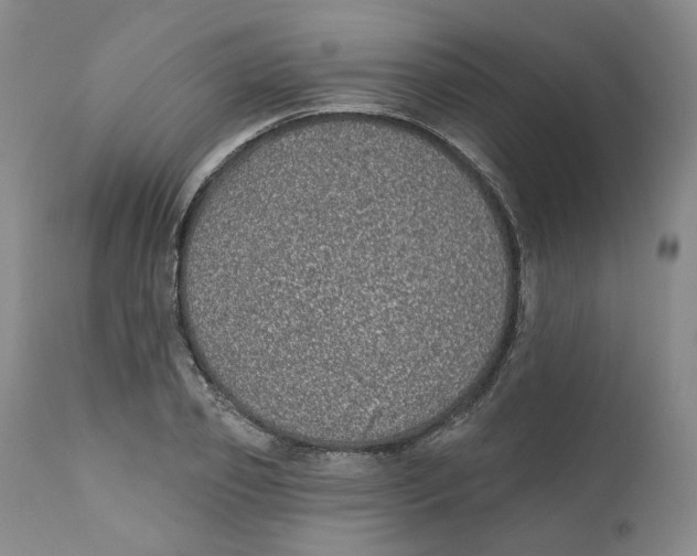 X0000112360933200909101253