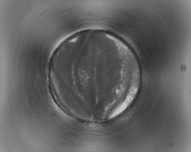 X0000112360935200909101253