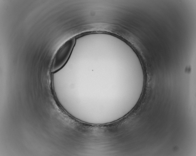 X0000112360936200909101253