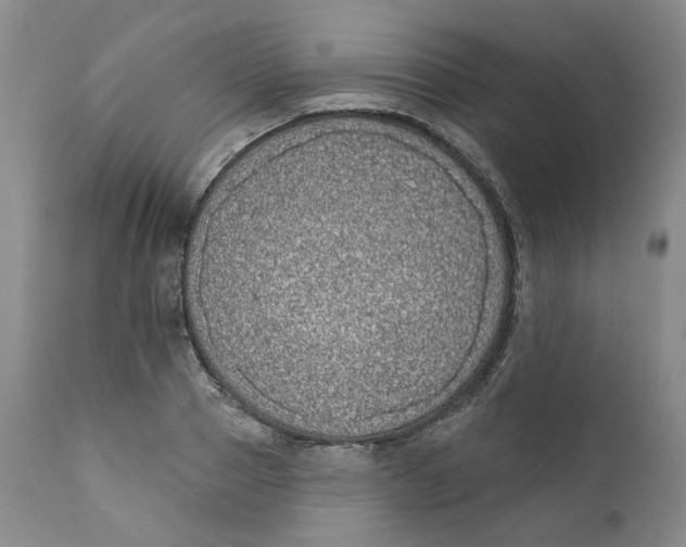 X0000112360937200909101253
