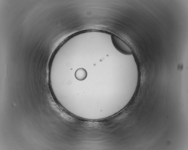 X0000112360940200909101253
