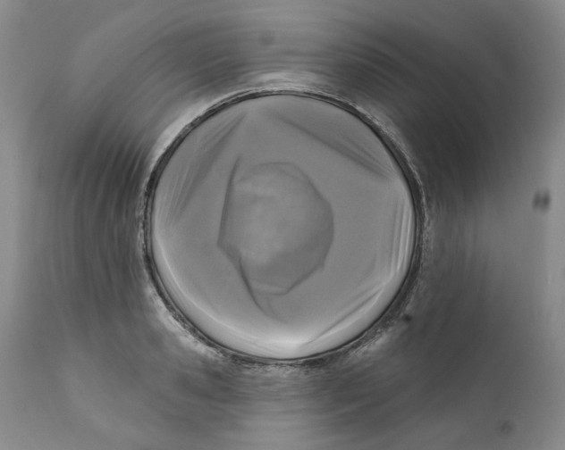 X0000112360941200909101253